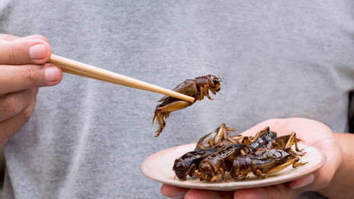 The Role of Edible Bugs in a Healthy, Balanced Diet The Role of Edible Bugs in a Healthy, Balanced Diet